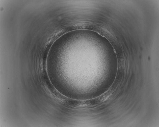 X0000074230504200609011245