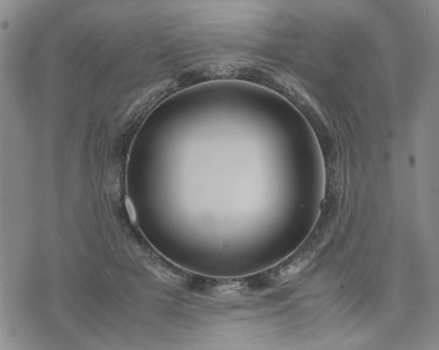 X0000074230505200609011245