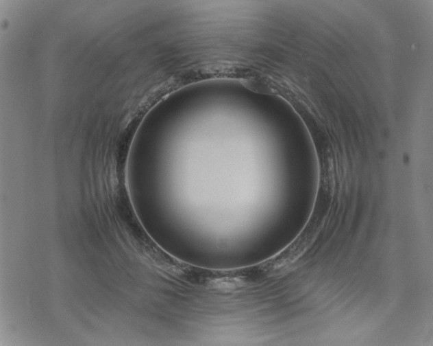 X0000074230508200609011245