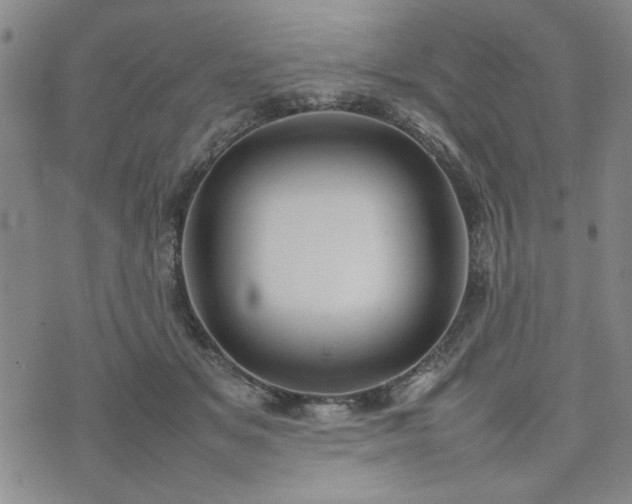 X0000074230509200609011245