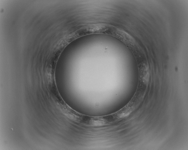 X0000074230510200609011245