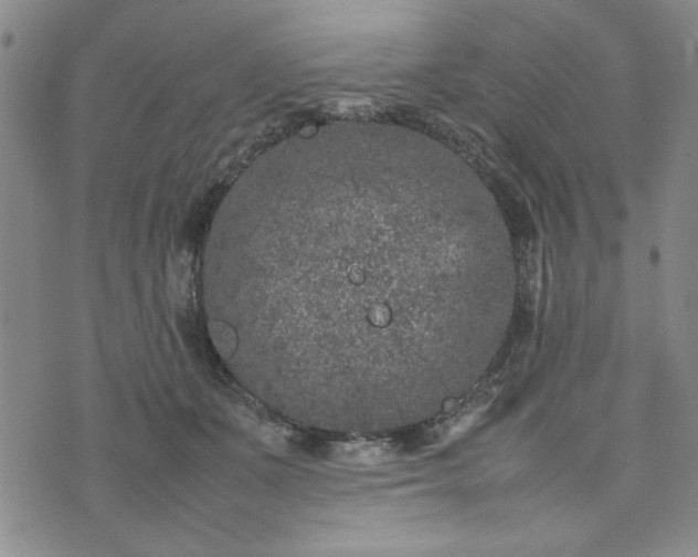 X0000074230511200609011245