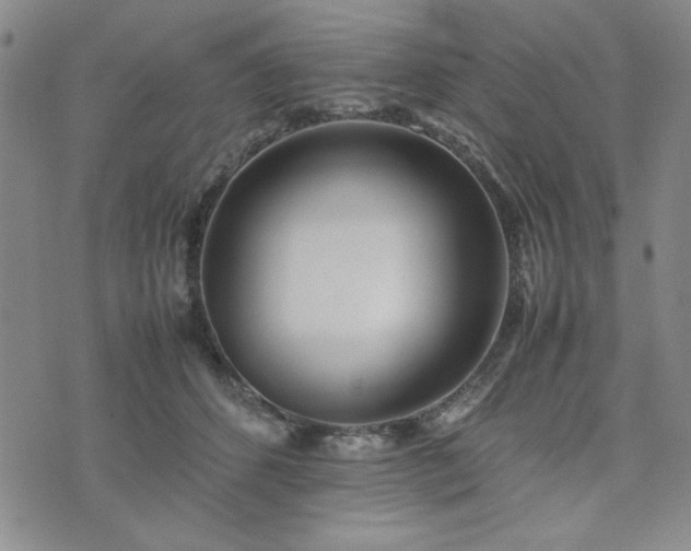 X0000074230512200609011245