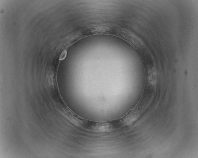 X0000074230514200609011245