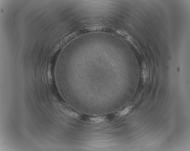 X0000074230516200609011245