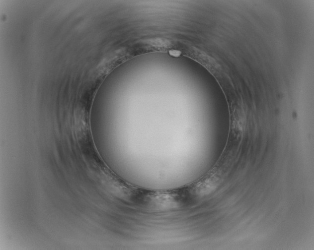 X0000074230518200609011245