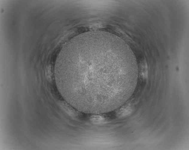 X0000074230519200609011245