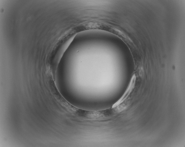 X0000074230521200609011245