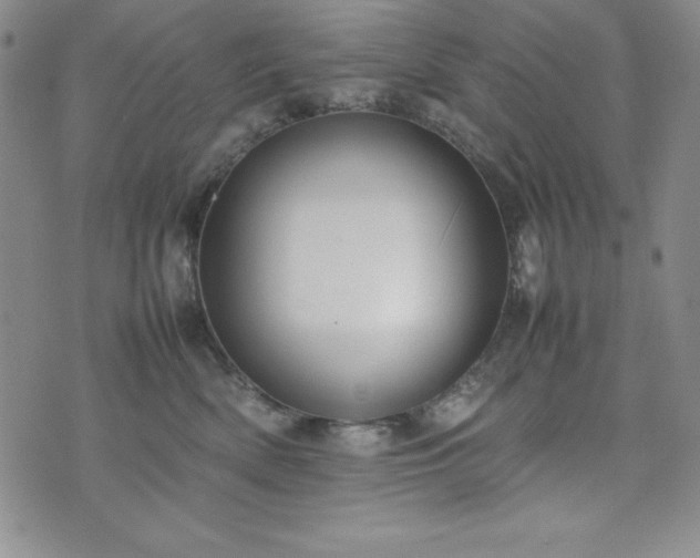 X0000074230522200609011245