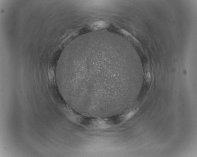 X0000074230523200609011245