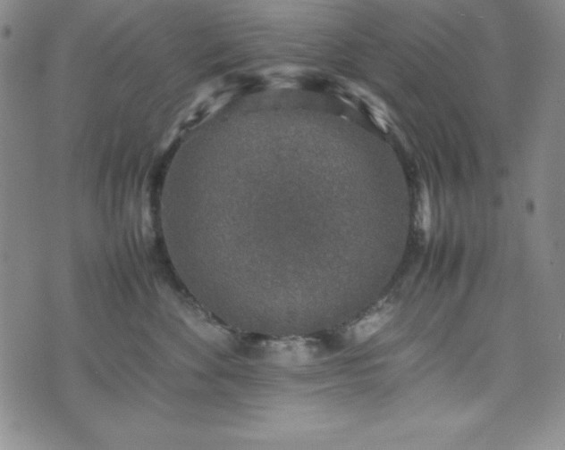 X0000074230524200609011245