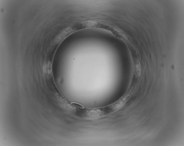 X0000074230525200609011245