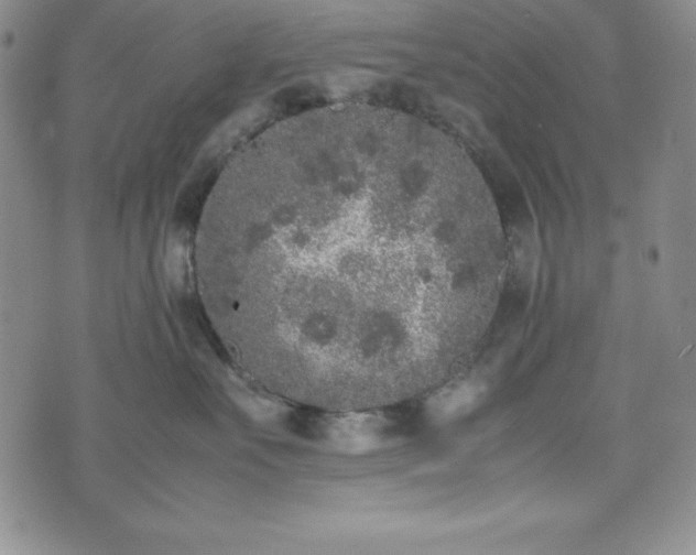 X0000074230527200609011245