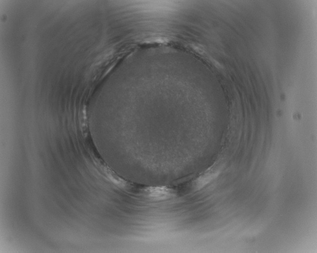 X0000074230528200609011245