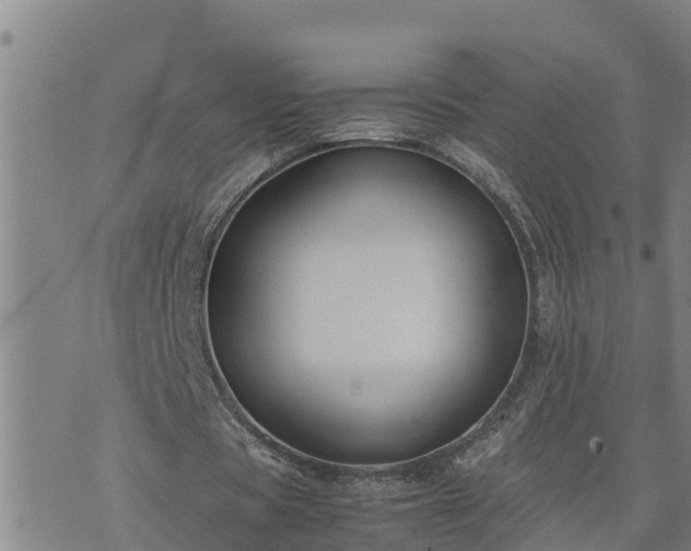 X0000074230529200609011244