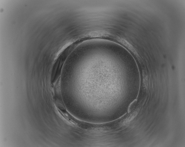 X0000074230530200609011244