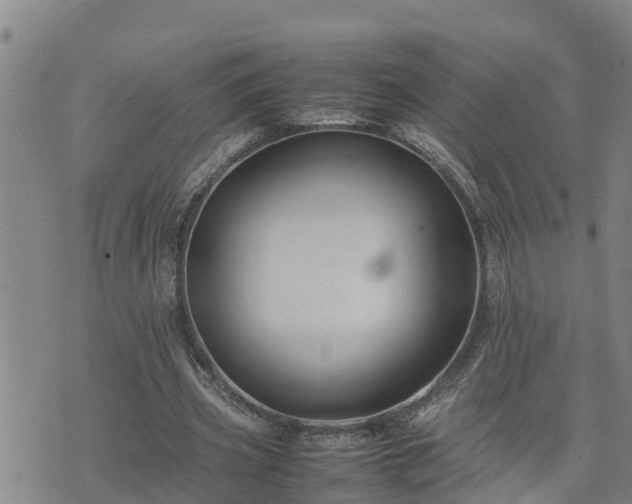 X0000074230533200609011244