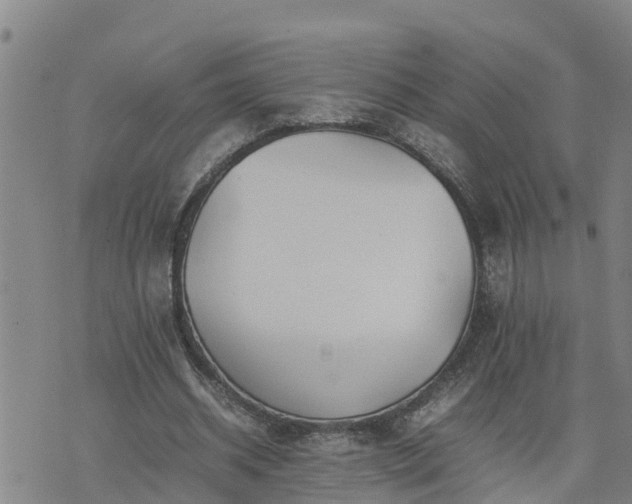 X0000074230534200609011244