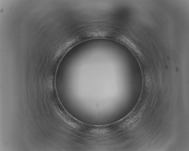 X0000074230537200609011244