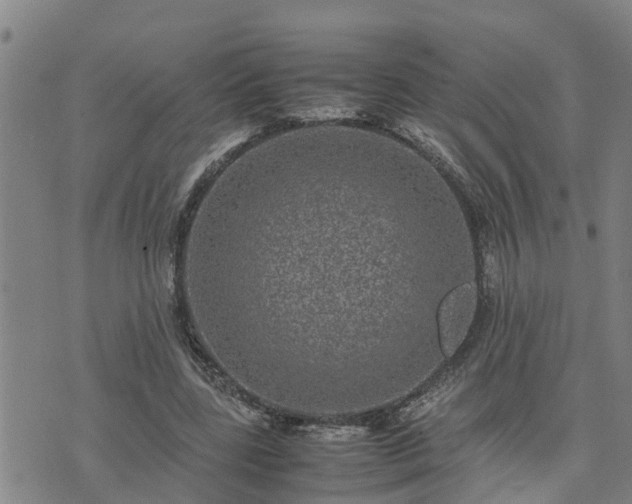 X0000074230539200609011244