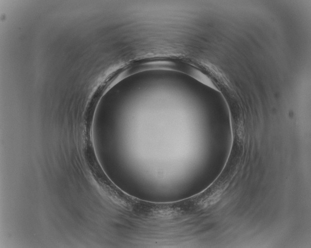 X0000074230540200609011244