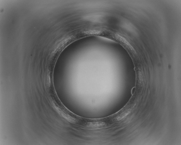 X0000074230541200609011244