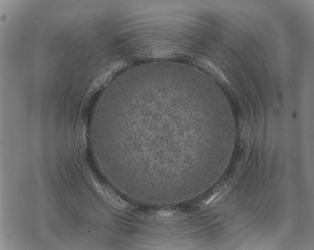 X0000074230542200609011244