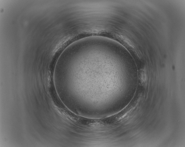 X0000074230544200609011244