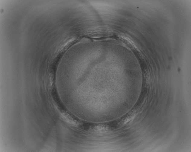 X0000074230546200609011244