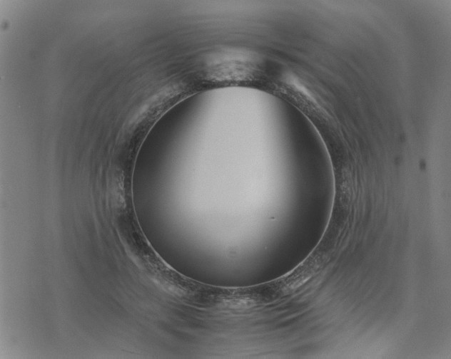 X0000074230547200609011244