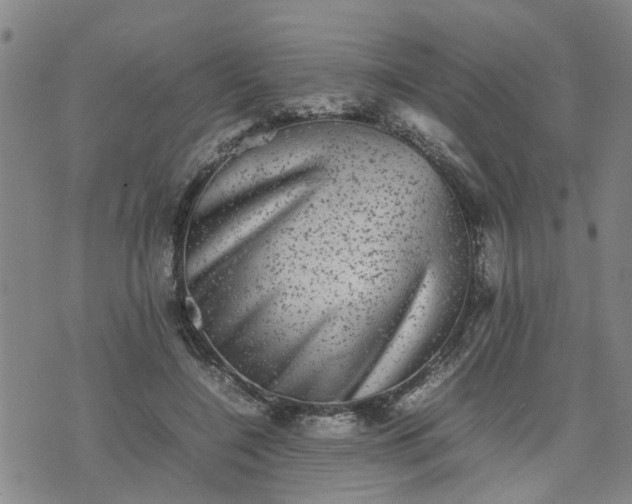 X0000074230548200609011244