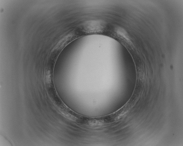 X0000074230549200609011244