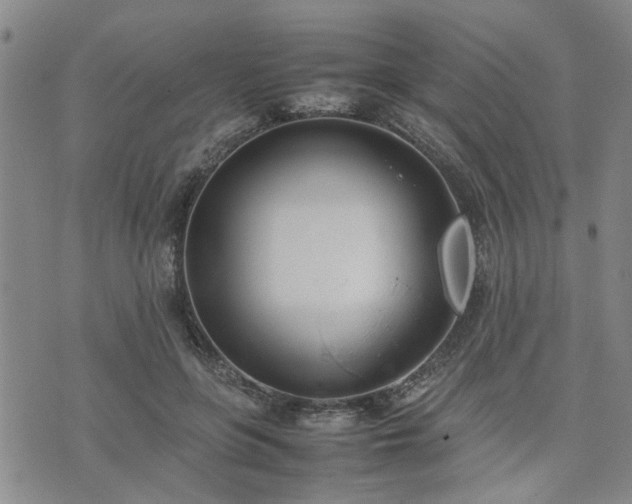 X0000074230551200609011244