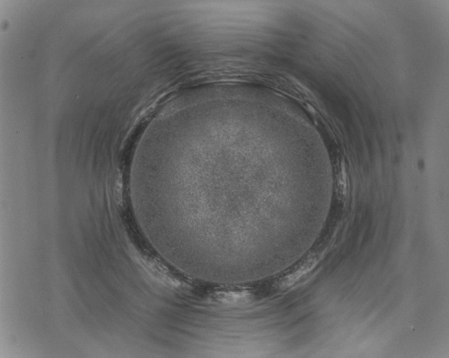 X0000074230552200609011244