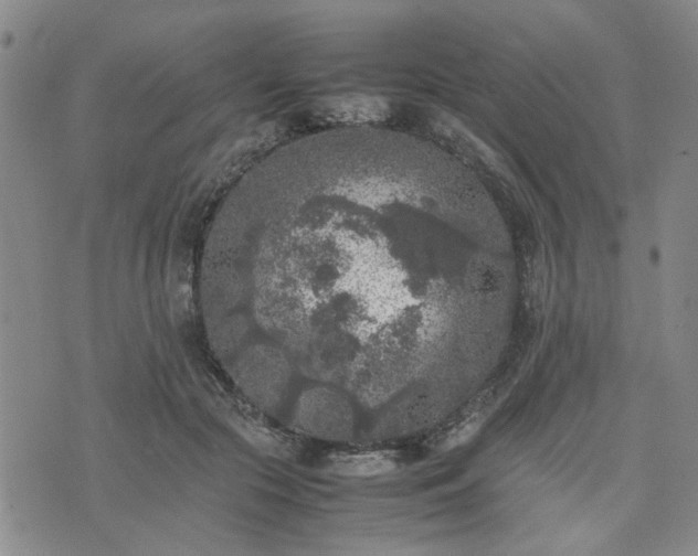 X0000074230553200609011244