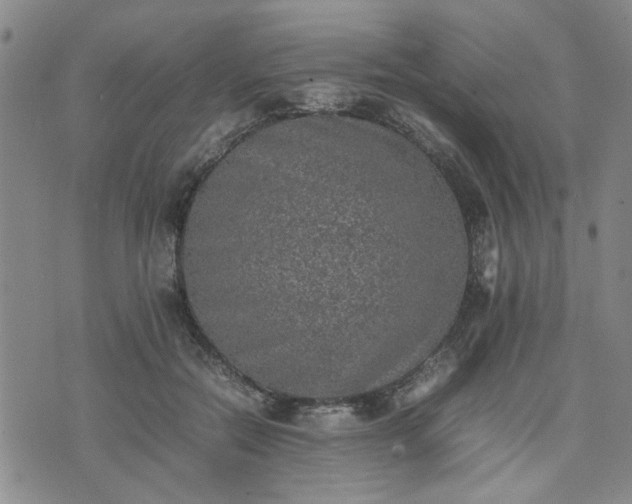 X0000074230554200609011244