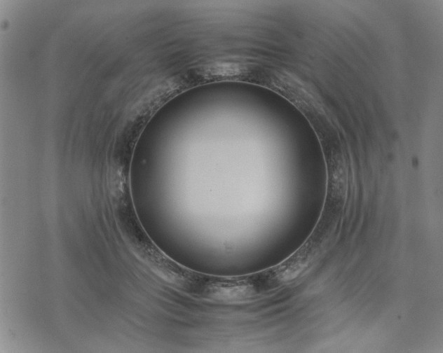 X0000074230555200609011244