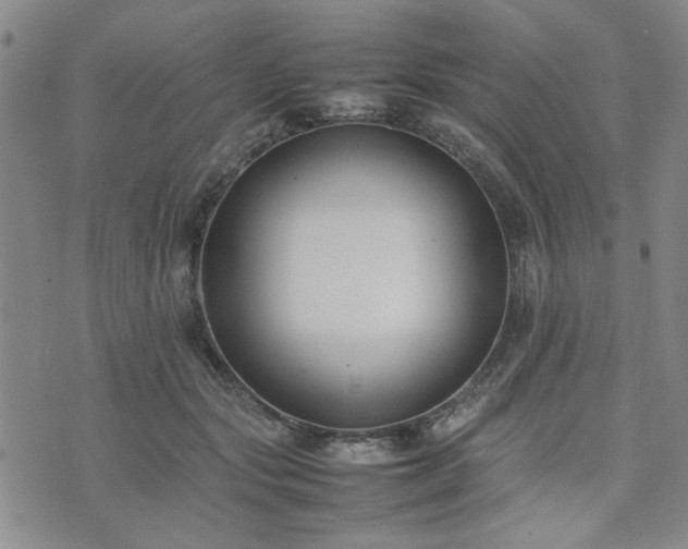 X0000074230557200609011244