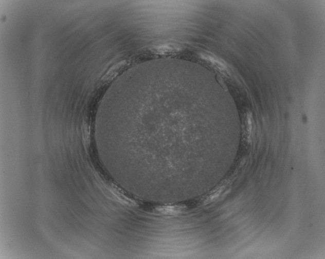 X0000074230558200609011244