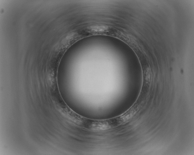 X0000074230559200609011244