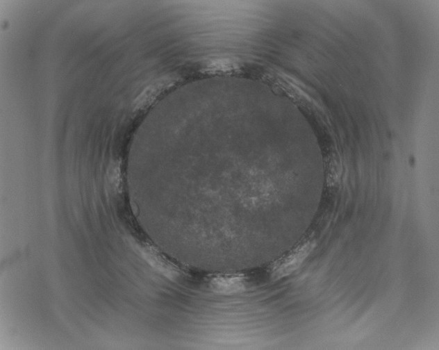 X0000074230560200609011244