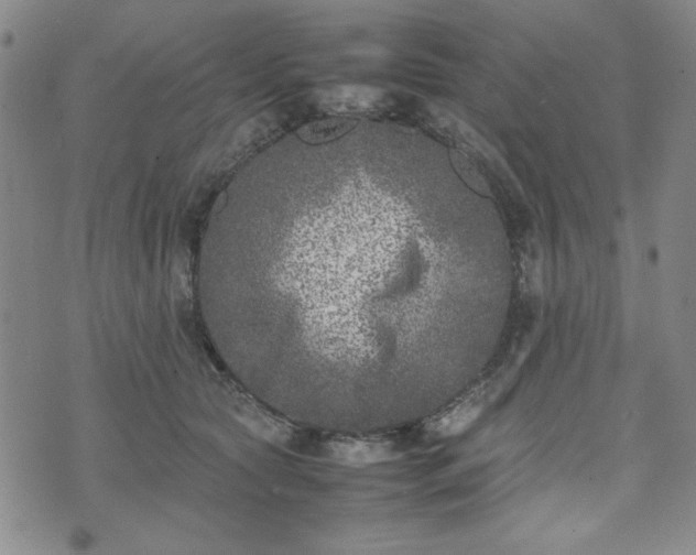 X0000074230561200609011244