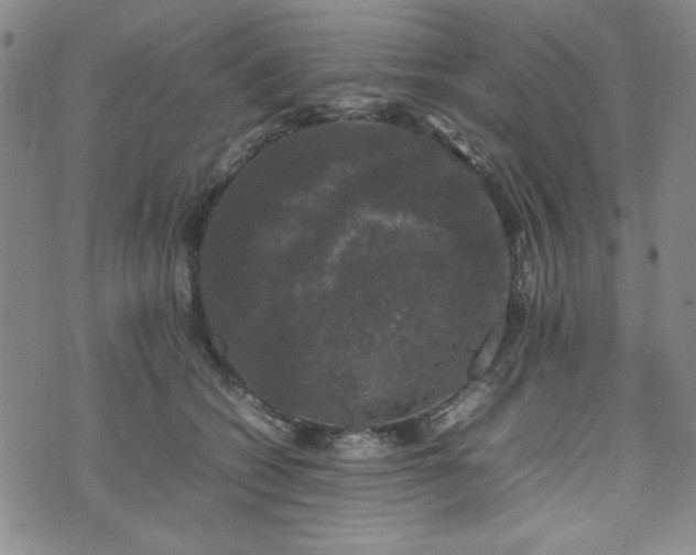 X0000074230562200609011244