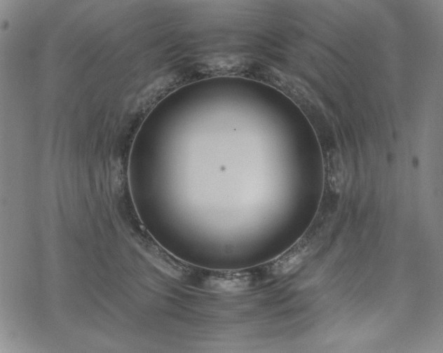 X0000074230563200609011244