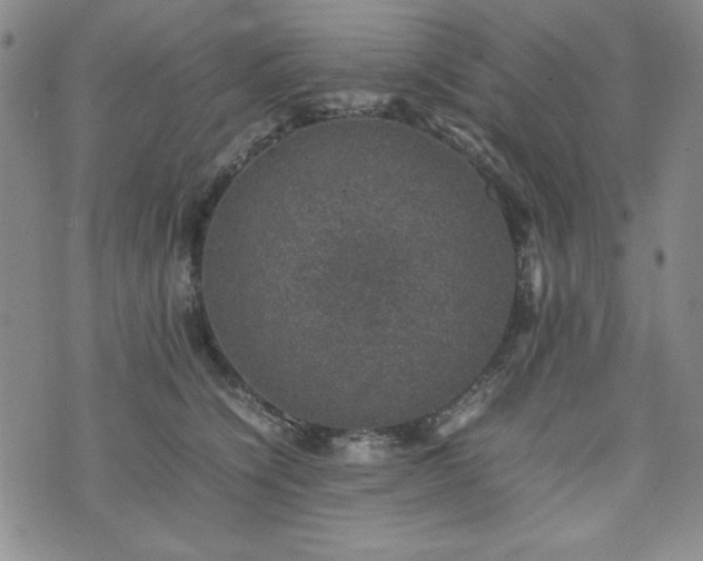 X0000074230564200609011244