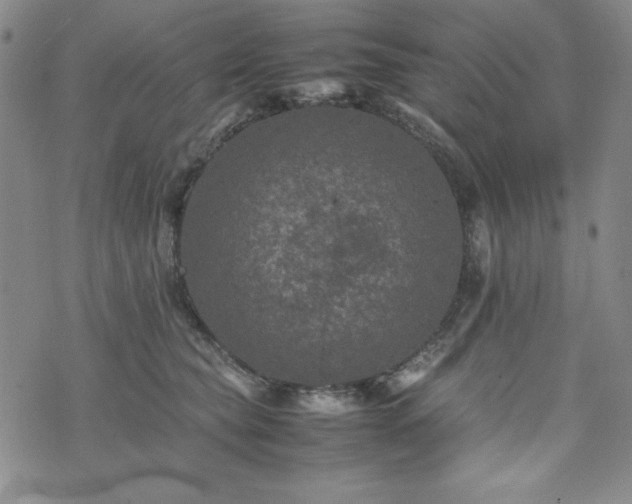 X0000074230565200609011244