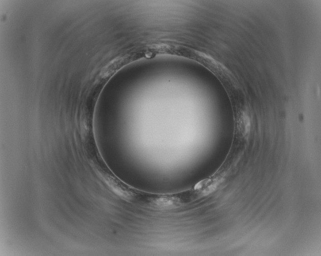 X0000074230566200609011244