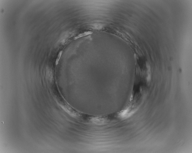 X0000074230568200609011245