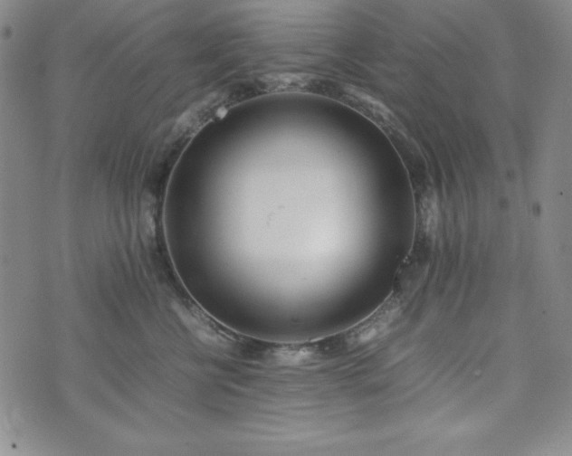 X0000074230570200609011245