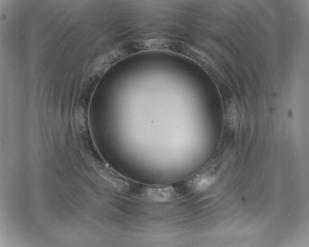 X0000074230571200609011245